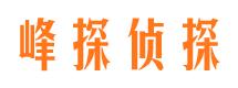 托里市私家调查